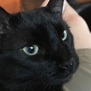 Meet your Posher, Abby